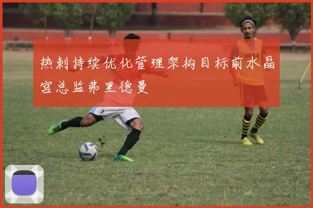 热刺持续优化管理架构目标前水晶宫总监弗里德曼